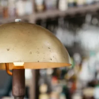 Brushed brass fixture specimen